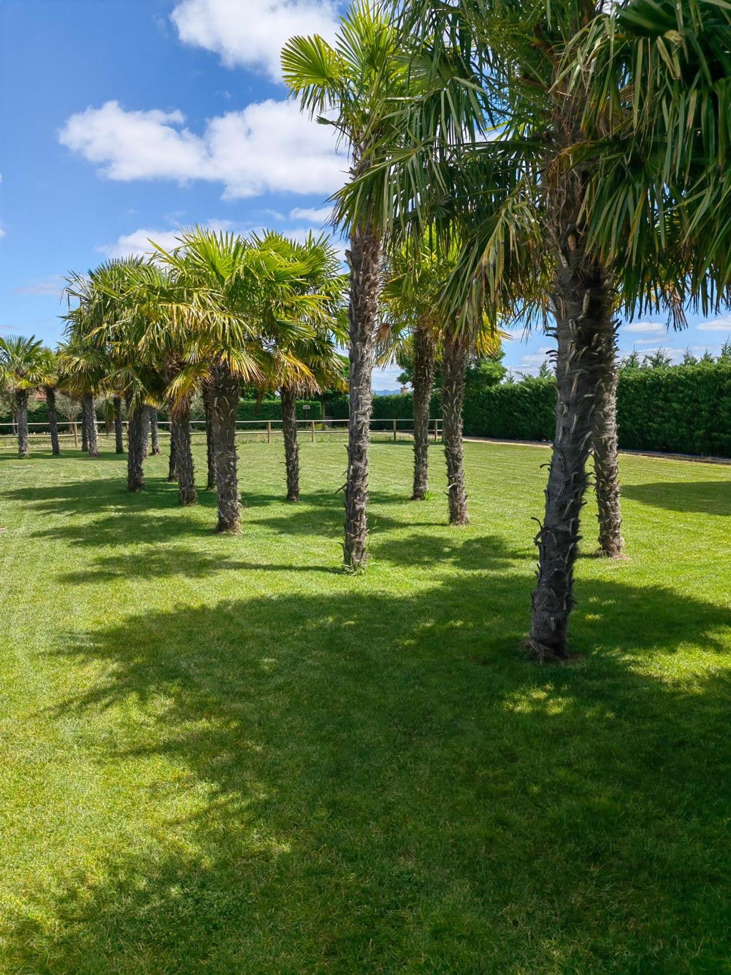 Natura Resorts Casalarreina Luaran gambar
