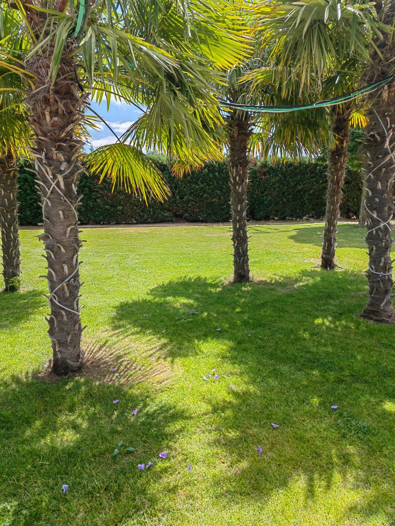 Natura Resorts Casalarreina Luaran gambar